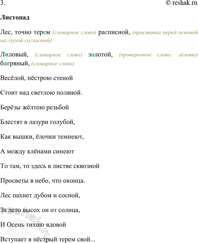 Дополнительное изображение