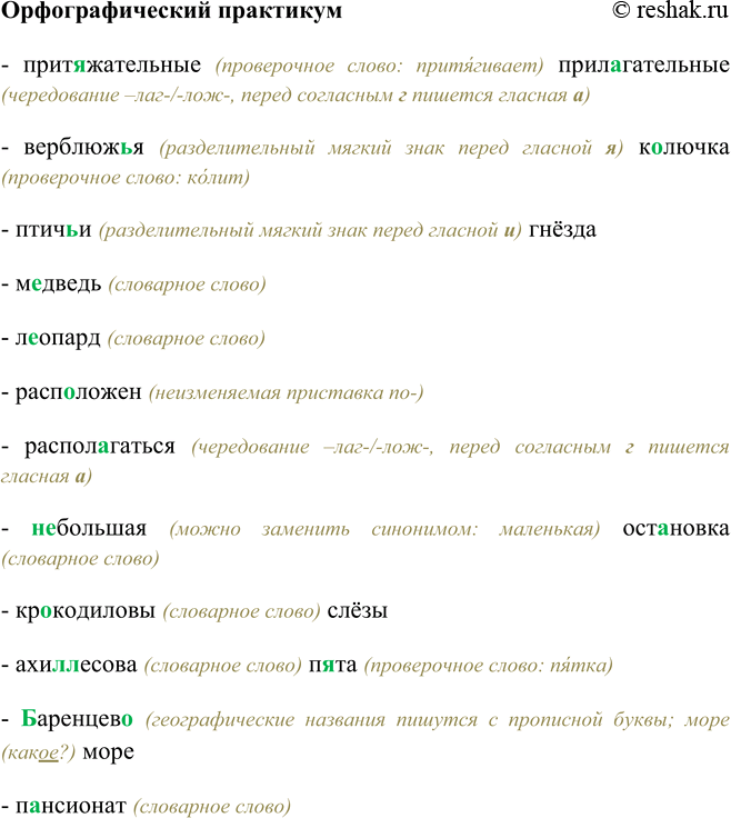 Изображение Орфографический практикумПрит…жательные прил…гательные, верблюж(?)я к…лючка, птич(?)и гнёзда, м…дведь, л…опард, расп…ложен, распол…гаться, (не)большая ост…новка,...